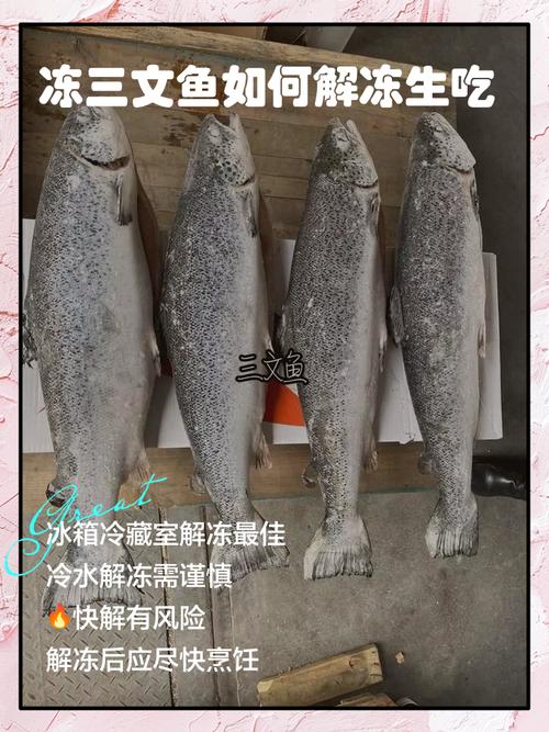 冻鱼怎么做好吃？海鲜冻鱼做法有哪些？-图2