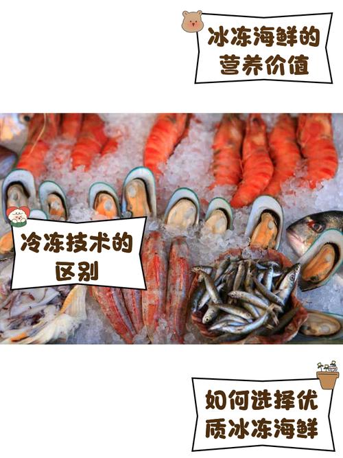 冰冻海鲜怎么选？好吃的有哪些推荐？-图1