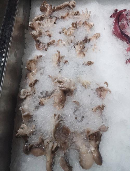冰冻海鲜怎么选？好吃的有哪些推荐？-图3