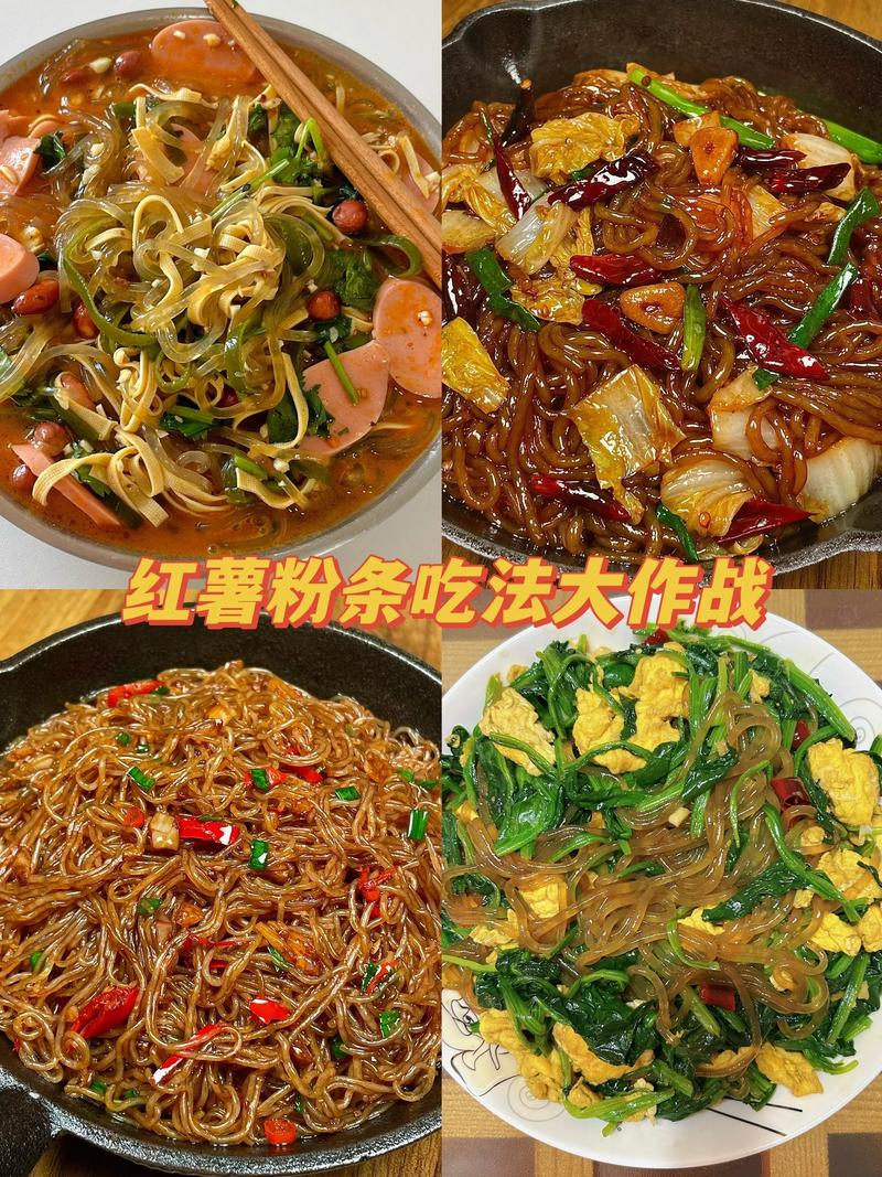 地瓜粉条家常做法有哪些?-图1 地瓜粉条家常做法有哪些?-图1