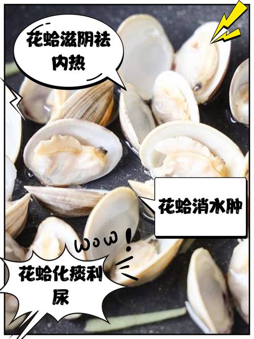 海鲜大蛤蜊怎么做最鲜美?-图3 海鲜大蛤蜊怎么做最鲜美?-图3