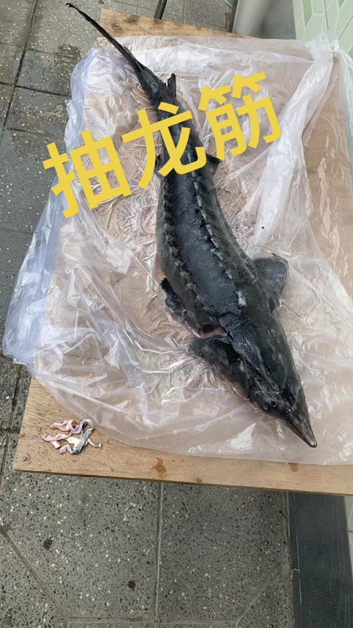 鲟鱼火锅家常做法有哪些？-图2