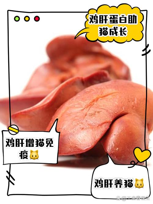 鸡肝怎么给宝宝吃才暖胃又营养?-图3 鸡肝怎么给宝宝吃才暖胃又营养?-图3