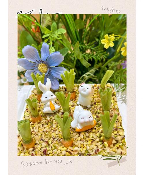 宝宝蔬菜蛋糕怎么做？健康美味有诀窍？-图3