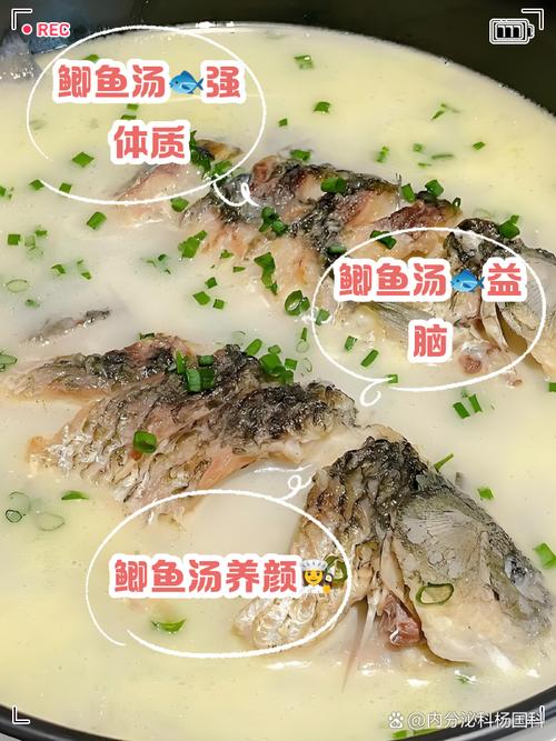 鲫鱼鱼煲怎么做？家常做法有哪些？-图3