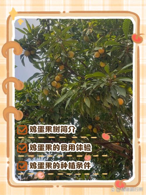 孕妇能吃溏心蛋吗？宝宝树专家解答来了。-图1