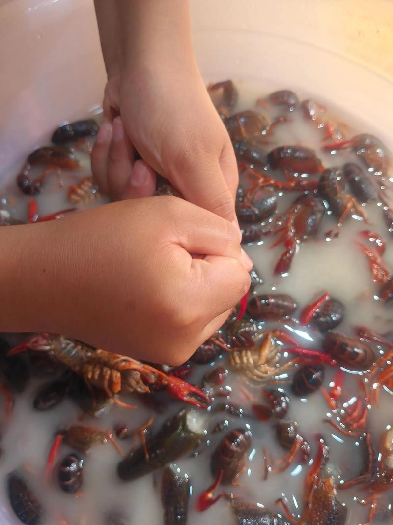 宝宝龙虾做法大全视频，怎么做宝宝能吃？-图3