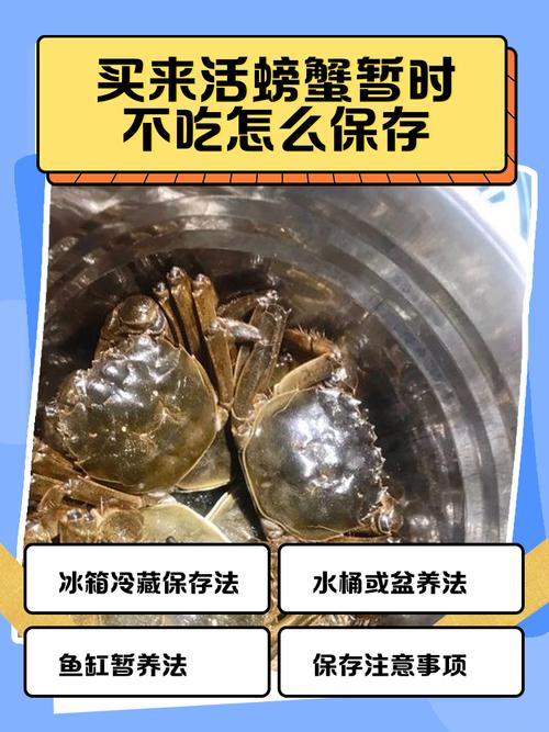 生的海鲜怎么正确保存？-图1