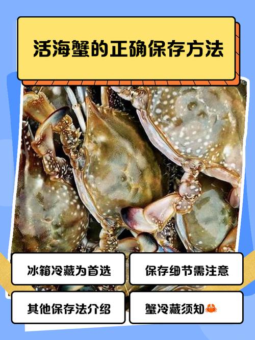 生的海鲜怎么正确保存？-图2
