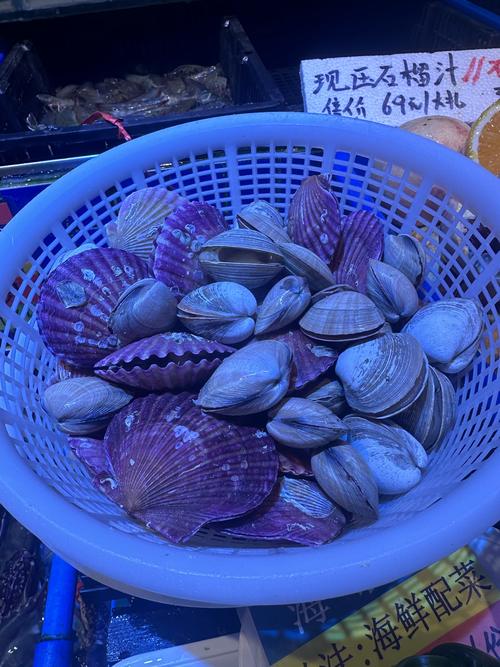 黄色壳的海鲜究竟是什么？-图1