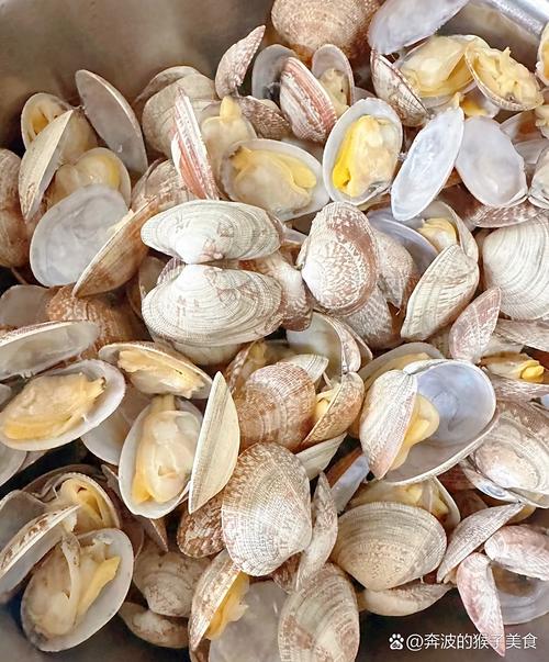 黄色壳的海鲜究竟是什么？-图2