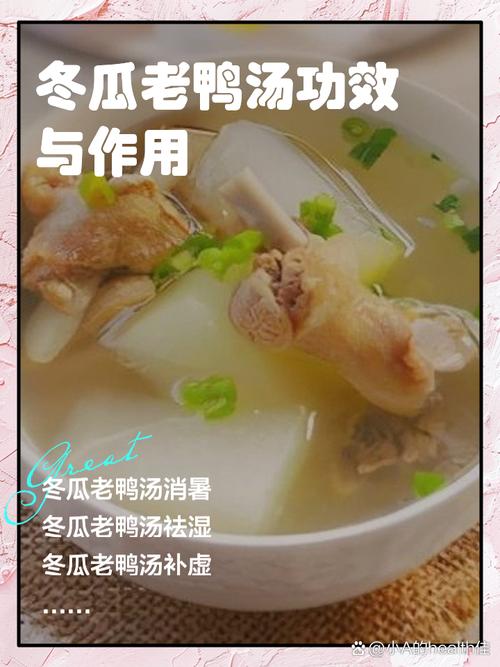 冬瓜鸭肉怎么做？家常做法有哪些？-图3