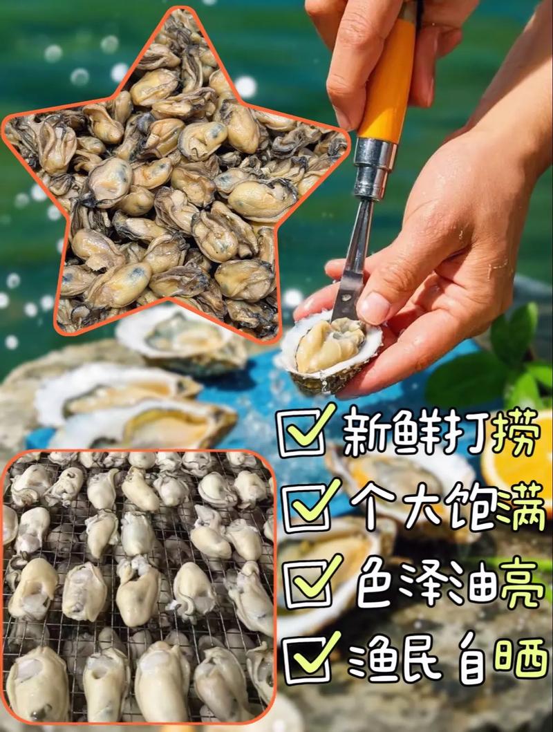 风干海鲜的做法大全集-图3 风干海鲜的做法大全集-图3