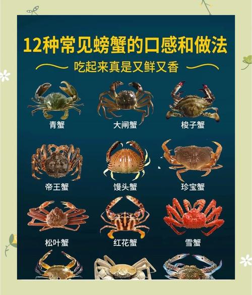 海鲜蟹做法大全图解,蟹有多少种美味做法?-图1 海鲜蟹做法大全图解,蟹有多少种美味做法?-图1