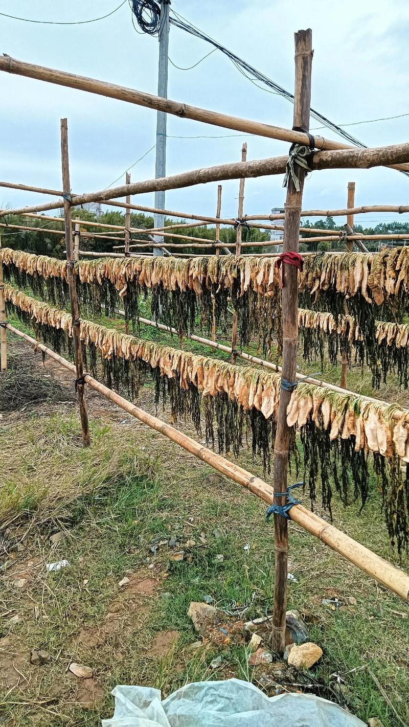 干的大头菜做法大全家常-图1