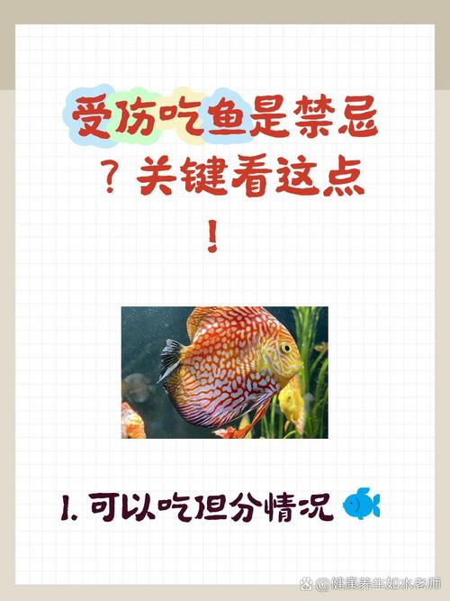 骨伤能吃带鱼等海鲜吗？-图2