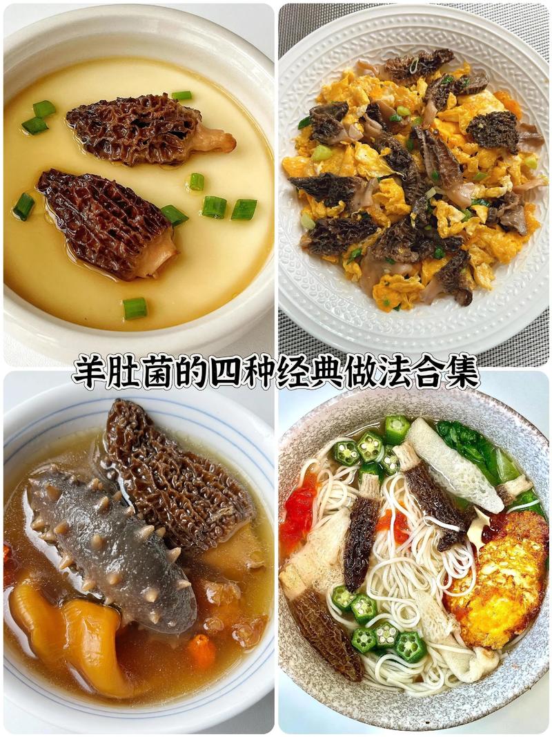 羊肉蘑菇家常做法有哪些?-图3 羊肉蘑菇家常做法有哪些?-图3