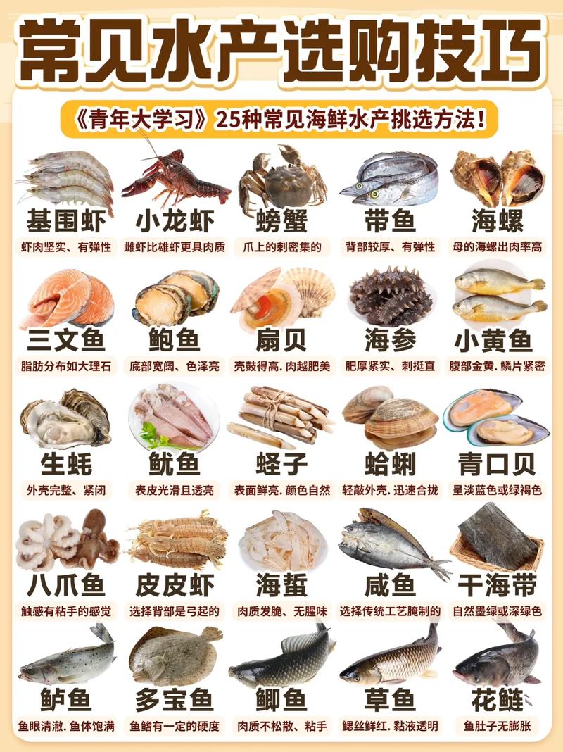 常见海鲜有哪些？看图识海鲜全在这？-图2