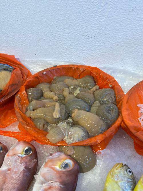 透明软软的海鲜是什么？-图2