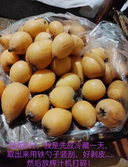 宝宝咳嗽 金桔 枇杷-图1