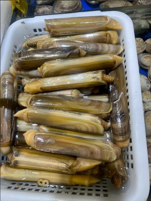 哪些海鲜既营养又低热量？-图2