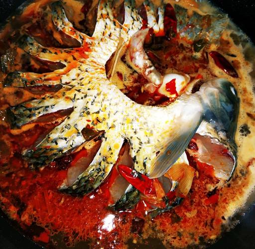 家常炖草鱼怎么做?做法大全在这里!-图1 家常炖草鱼怎么做?做法大全在这里!-图1