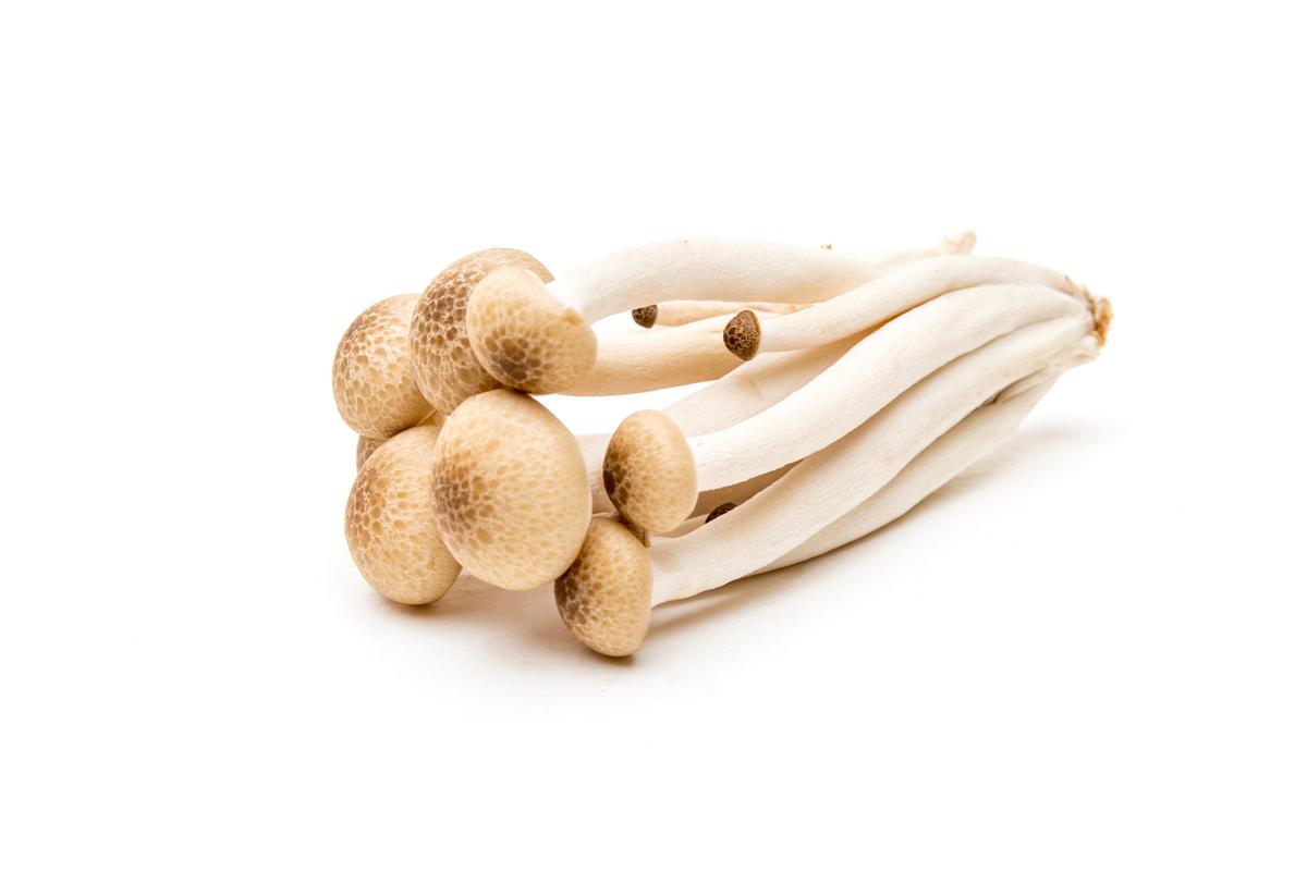 海鲜菇和海带能一起吃吗？-图3