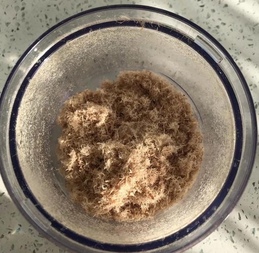 宝宝肉松 自制 储存-图2 宝宝肉松 自制 储存-图2