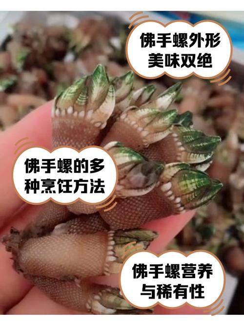 佛手海鲜怎么做？视频教程教你！-图1