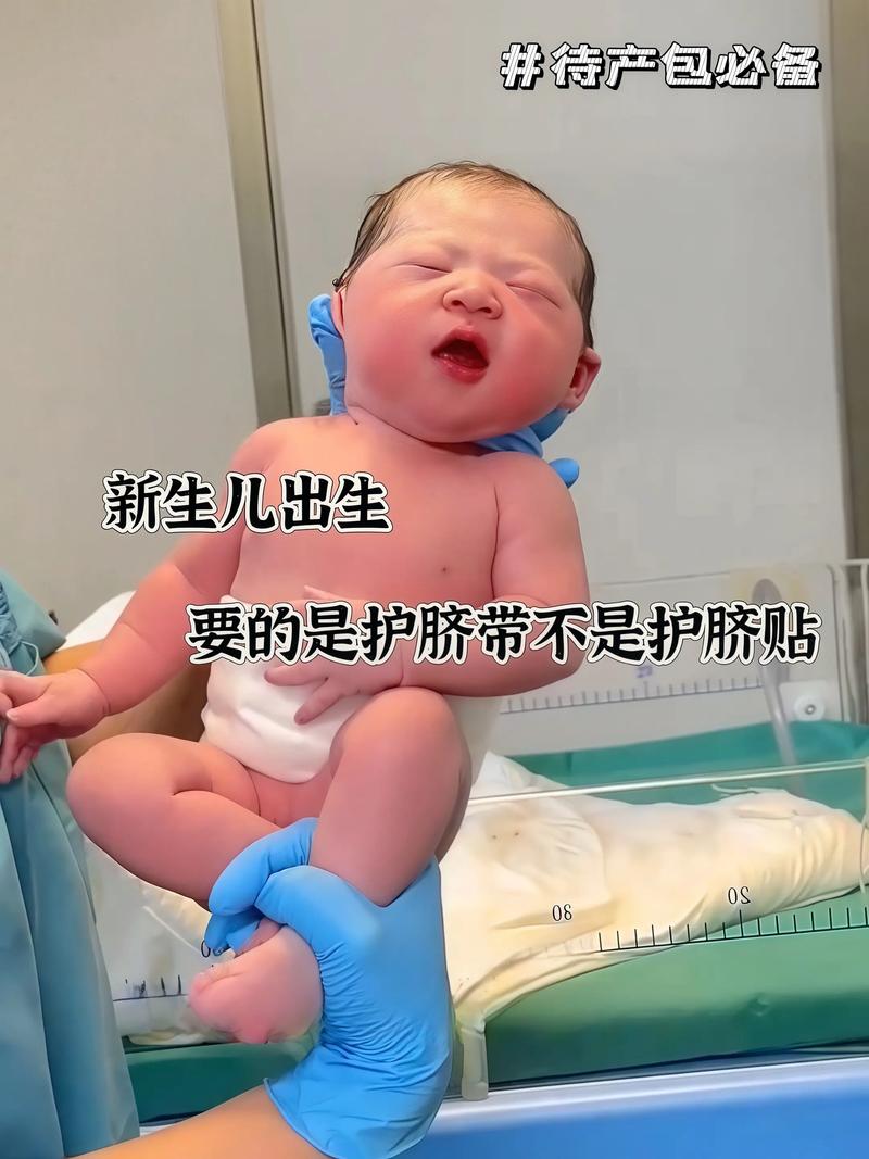 宝宝蹄带能给宝宝喝吗?-图2 宝宝蹄带能给宝宝喝吗?-图2