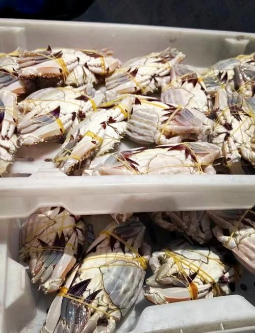 麻辣呛海鲜怎么做？视频教程来啦！-图2