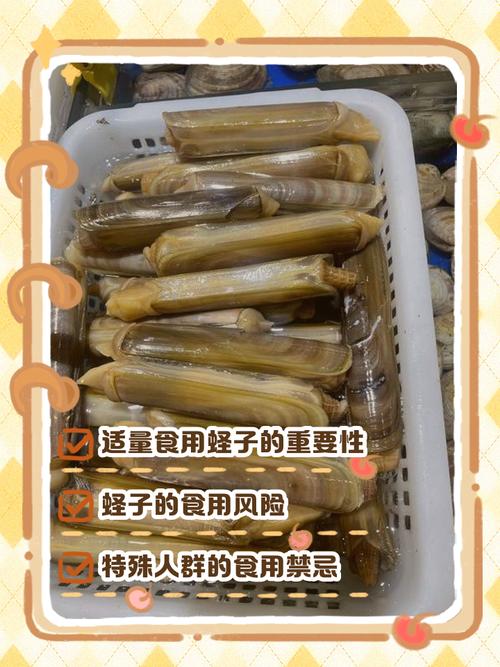 长条海鲜圣子有哪些功效？-图2