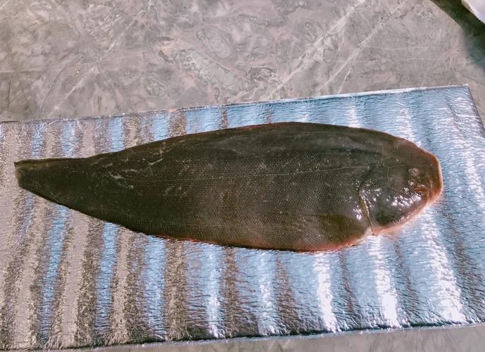 十个月宝宝能吃龙利鱼辅食吗？怎么做好？-图1