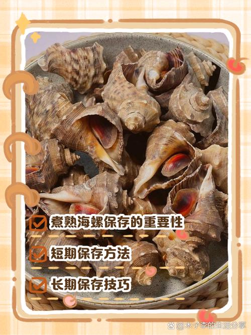 大海螺家常做法有哪些？-图3