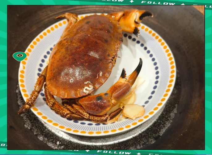 海鲜面包蟹怎么做？有哪些做法？-图1