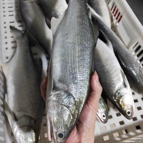 海鲜竹笋同食会相克吗？-图1