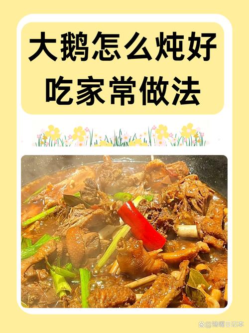 炖鹅 做法大全家常做法-图1