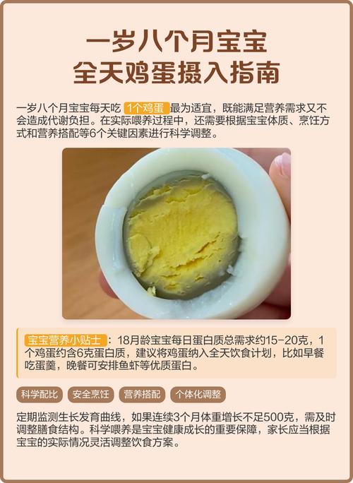 八个月宝宝鸡蛋怎么做好消化？-图1