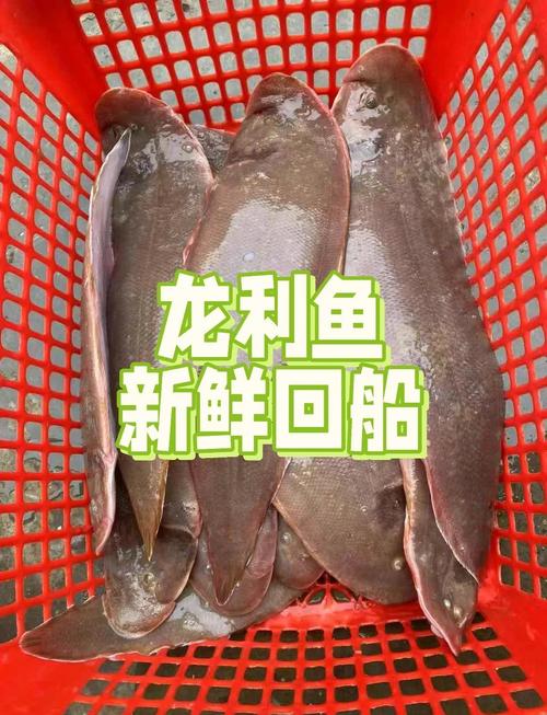 八个月宝宝辅食龙利鱼怎么做？-图3