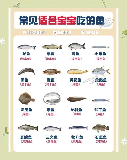 宝宝六个月能吃鱼肉吗？-图2