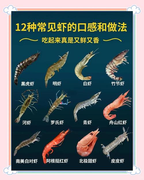 十个月宝宝能吃虾吗?怎么吃?-图3 十个月宝宝能吃虾吗?怎么吃?-图3