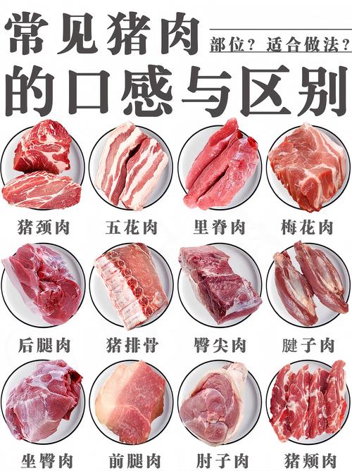 猪条肉家常做法有哪些？-图3