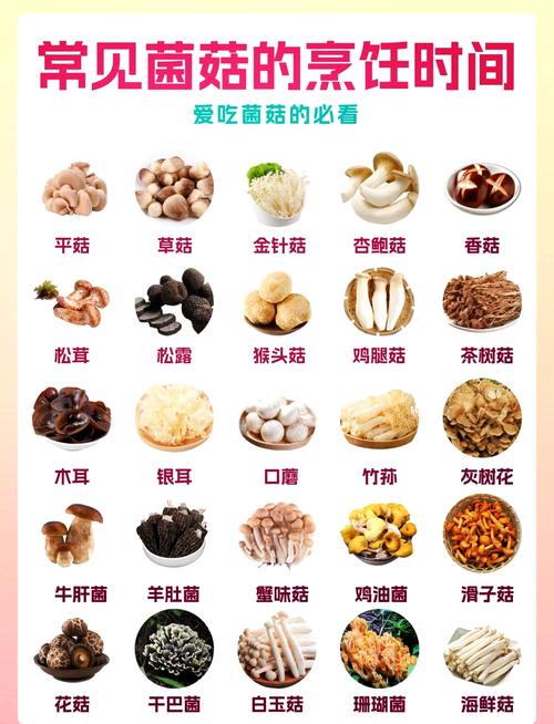 海鲜菇下锅要煮多久？-图1