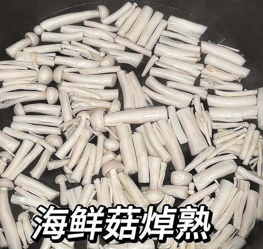 海鲜菇下锅要煮多久？-图3