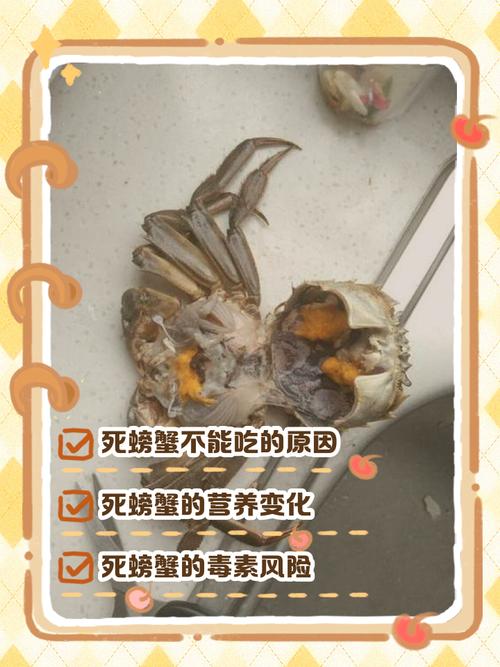 海鲜腥味从何而来？-图1