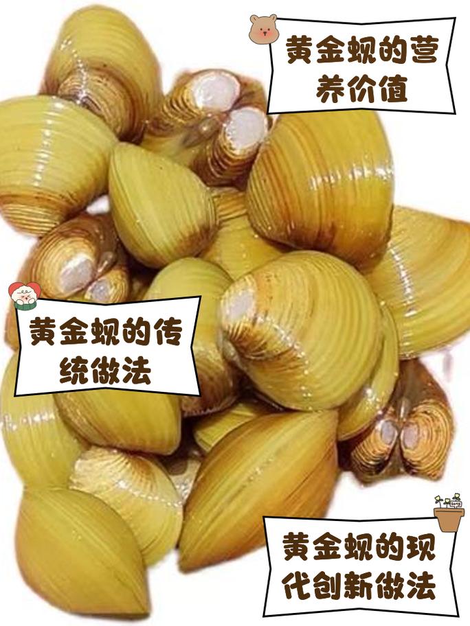 金黄色口袋状的海鲜是什么？-图3