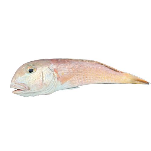 海鲜断马头怎么做好吃？-图1