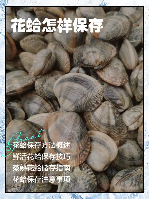 海鲜大哈利怎么处理才正确？-图3