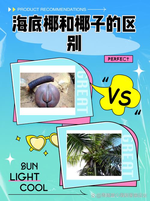 椰子不能和海鲜同吃吗-图3