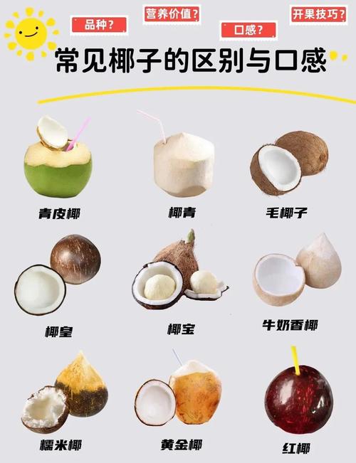 椰子不能和海鲜同吃吗-图2